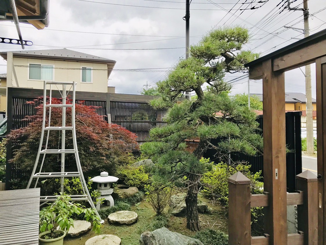 d8ba30999f01b42f3ae1b411d71618