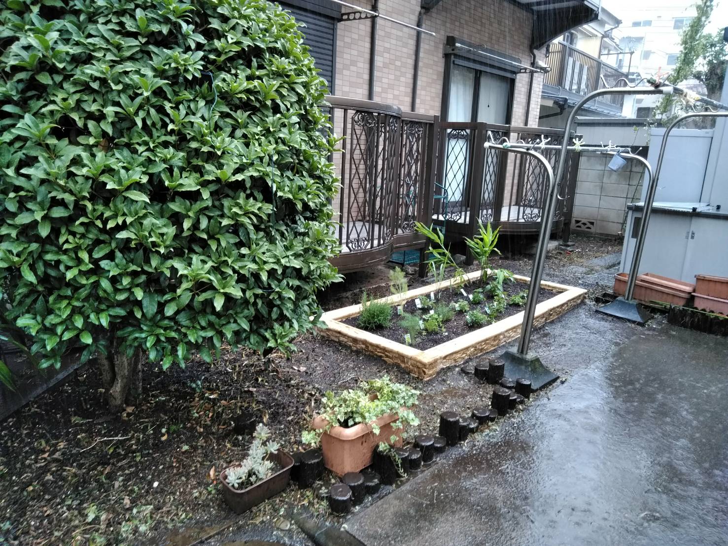 雑草だらけになってしまったお庭をハーブガーデンへ 杉並区 お庭の専門店ニワナショナル 東京 埼玉