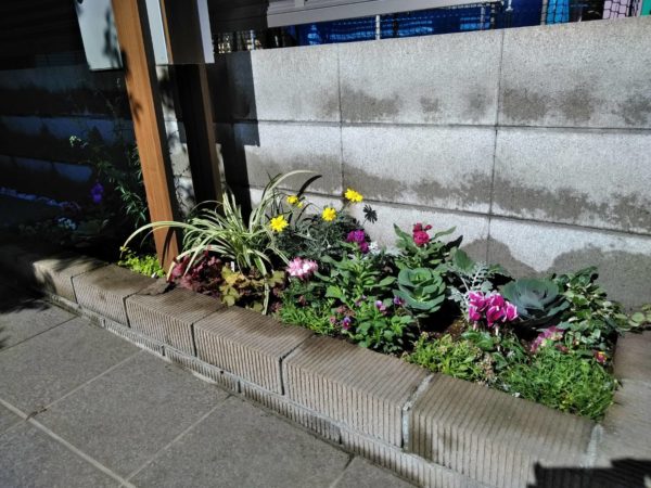 花植え ガーデニングを気軽に依頼するなら お庭の専門店ニワナショナル 東京 埼玉