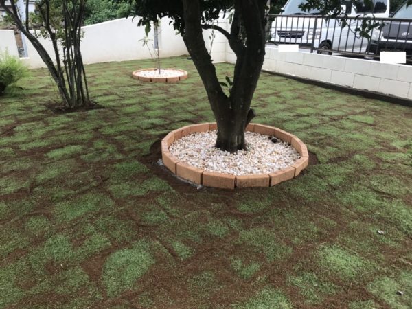 庭に芝を敷きたい Diyと業者を比較しました お庭の専門店ニワナショナル 東京 埼玉