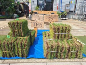 天然芝（TM9・高麗芝）販売しています