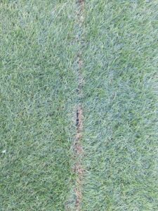 DIYで人工芝設置　つなぎ合わせの部分