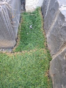 DIYで人工芝設置　つなぎ合わせの部分