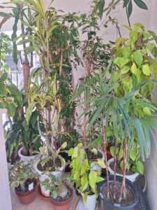 ニワナショナルパークサイド店の店内の様子