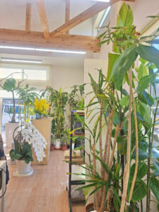 ニワナショナルパークサイド店の店内の様子