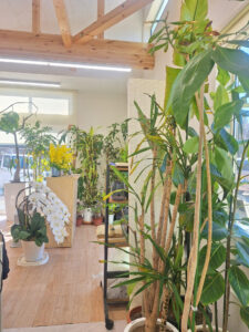 ニワナショナルパークサイド店の店内の様子