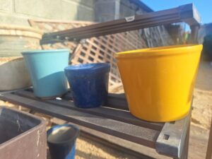 無料でお譲りしている植木鉢