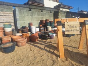 無料でお譲りしている植木鉢