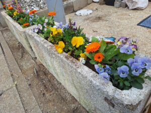 寄せ植え・花植え