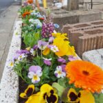 寄せ植え・花植え