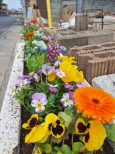 寄せ植え・花植え