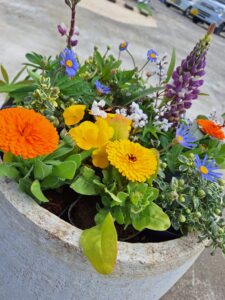 寄せ植え・花植え