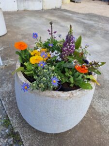 寄せ植え・花植え
