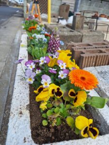寄せ植え・花植え