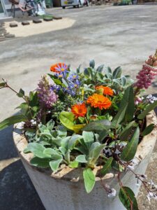 寄せ植え・花植え