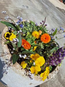 寄せ植え・花植え