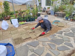 店舗前　芝張りの様子