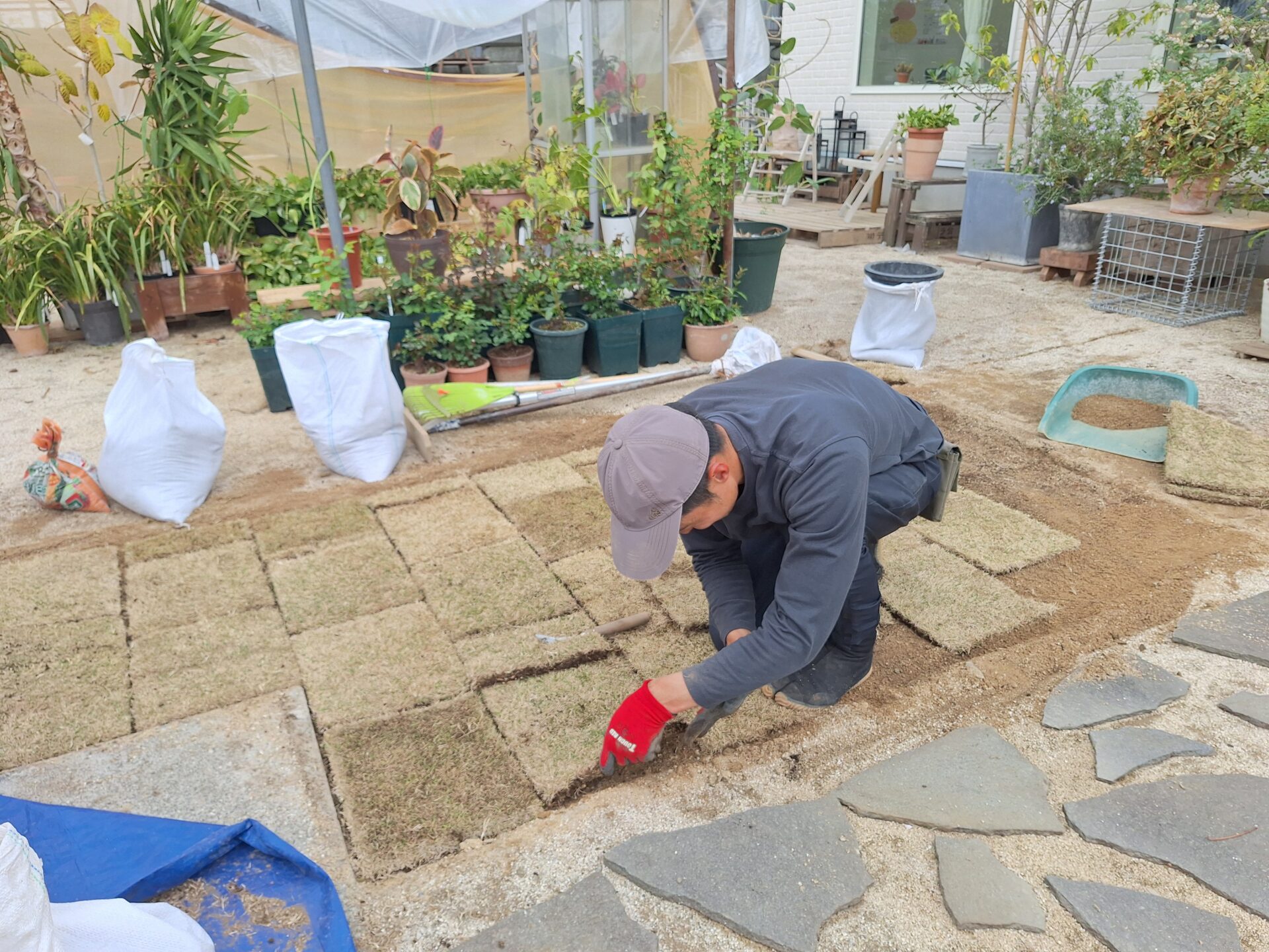 店舗前 芝張りの様子