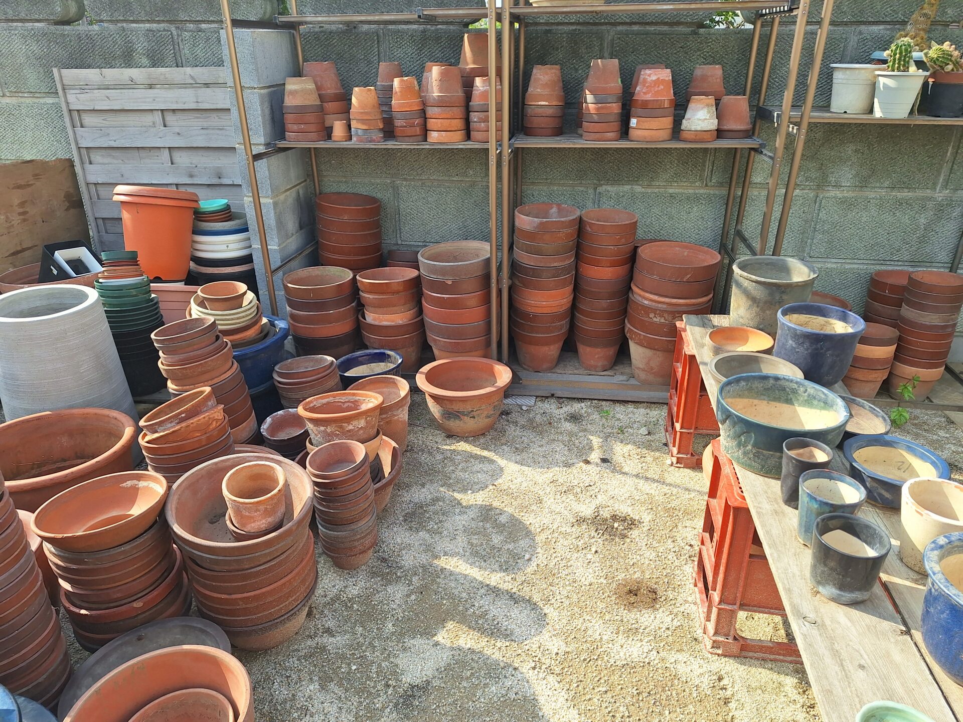 ニワナショナル パークサイド店の様子【無料お譲り】