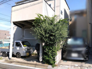 剪定・消毒・除草・土回収・防草シート・砂利敷き