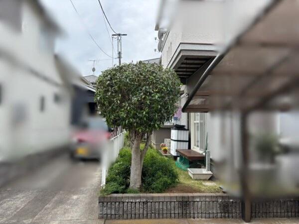 金木犀の剪定の作業写真