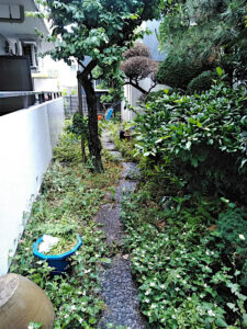 【除草作業】草取り／東京都新宿区