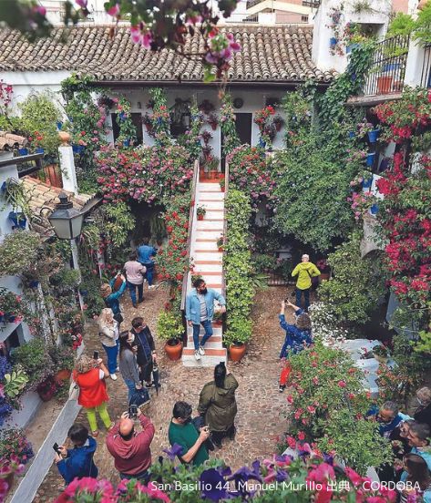 San Basilio 44_Manuel Murillo 出典：CORDOBA