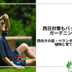 アイキャッチ_西日対策