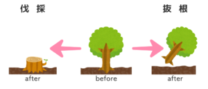 伐採・抜根の説明図
