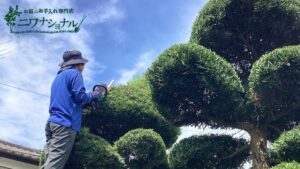 新年の挨拶　アイキャッチ