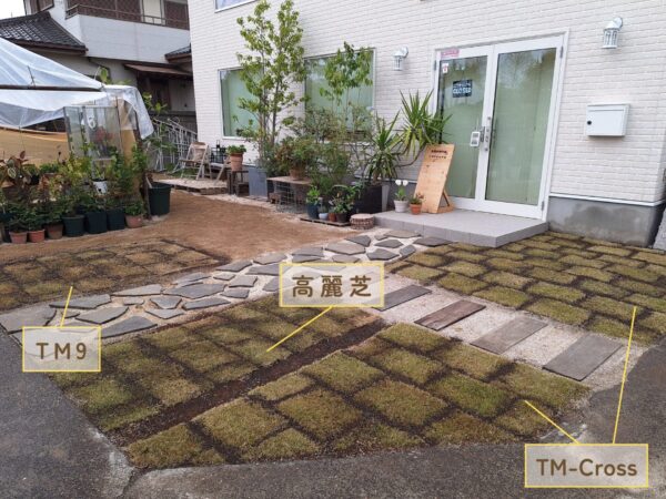 店舗前 天然芝の比較