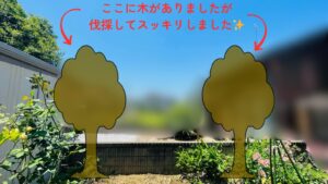 作業後の写真