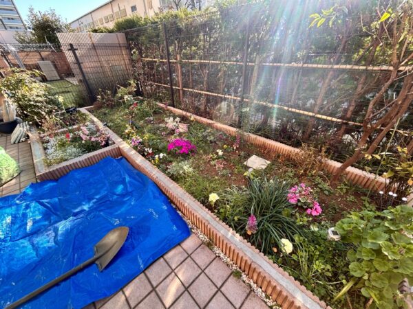 花植え、植樹、バラの誘引の作業事例写真