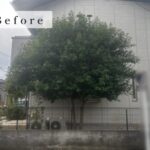 剪定の作業写真