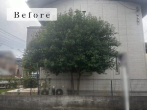 剪定の作業写真