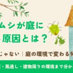 カメムシが庭に集まる原因とは？アイキャッチ