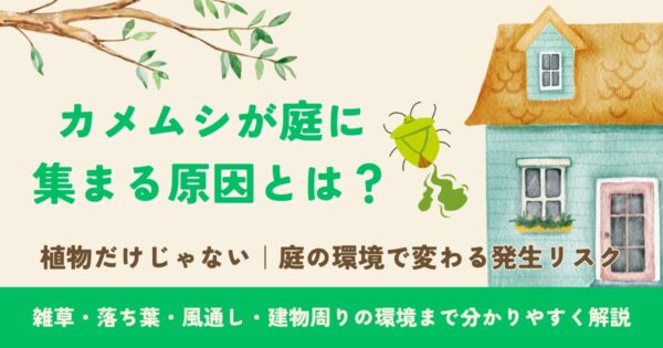 カメムシが庭に集まる原因とは?アイキャッチ