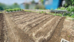 畑の整理の作業写真