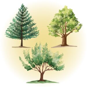 色々な種類の木のイラスト