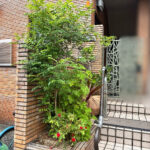 抜根,花植え,植樹の作業写真