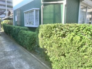 剪定の作業写真