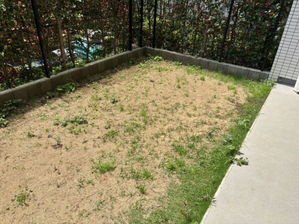 芝生の張り替えの作業写真