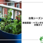 アイキャッチ_ベランダガーデニングと家庭菜園の台風対策
