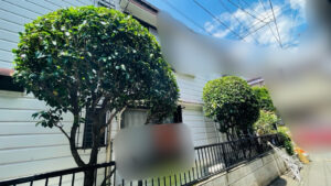 作業後写真