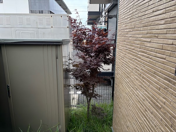 伐採・剪定・刈込の作業写真