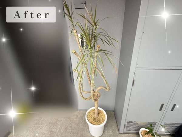 作業後写真
