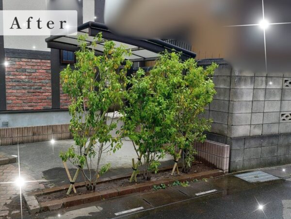 作業後写真