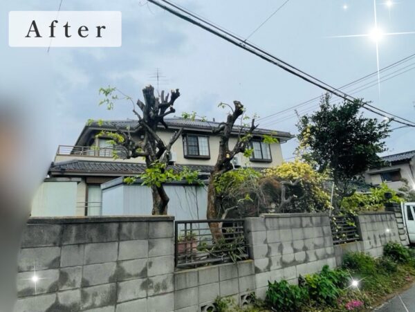作業後写真
