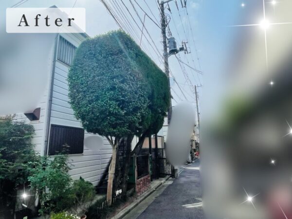 作業後写真