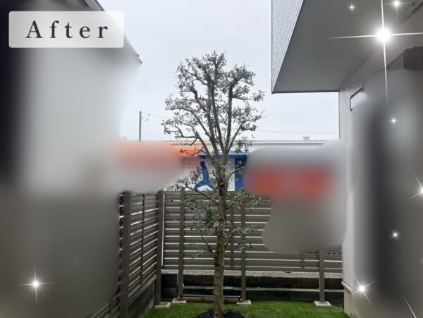 作業後写真